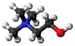 Choline Chloride